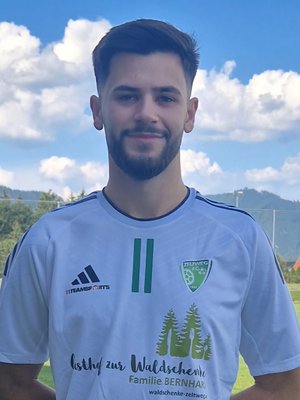 Martin Martic