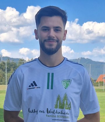 Martin Martic